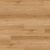 Exotic Moy Oak