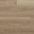 Native Blackbutt