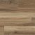 Native Spotted Gum