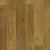 Golden Oak