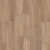 Grey Gum